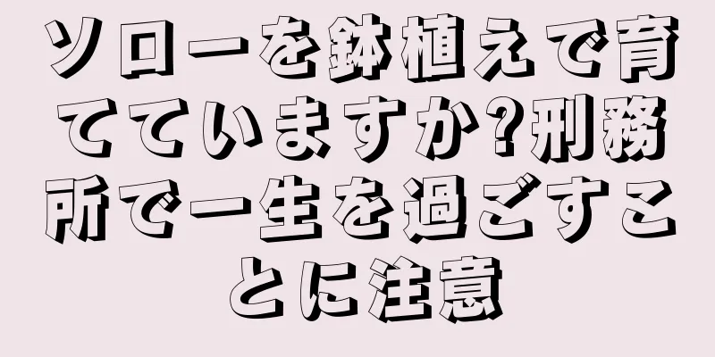 ソローを鉢植えで育てていますか?刑務所で一生を過ごすことに注意