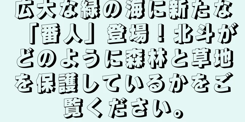 広大な緑の海に新たな「番人」登場！北斗がどのように森林と草地を保護しているかをご覧ください。