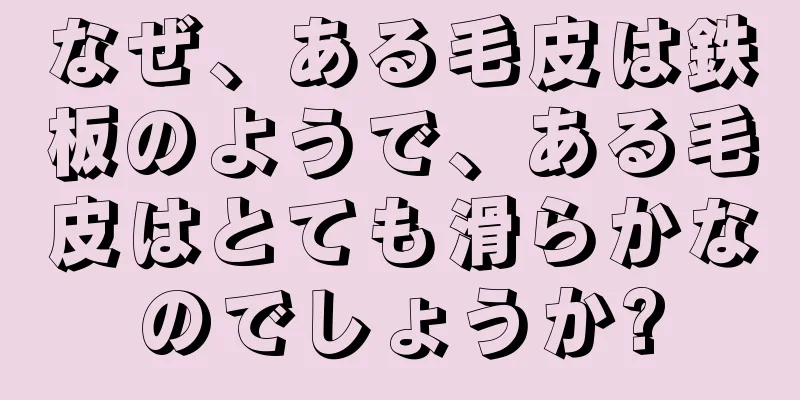 なぜ、ある毛皮は鉄板のようで、ある毛皮はとても滑らかなのでしょうか?