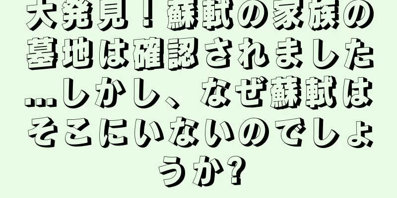 大発見！蘇軾の家族の墓地は確認されました...しかし、なぜ蘇軾はそこにいないのでしょうか?