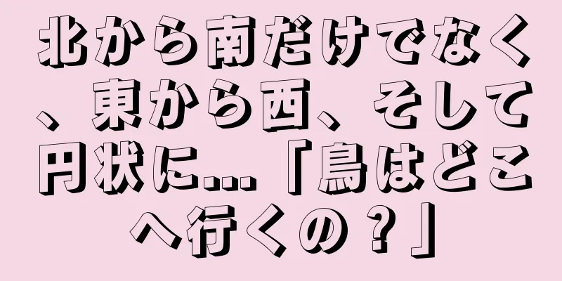 北から南だけでなく、東から西、そして円状に...「鳥はどこへ行くの？」