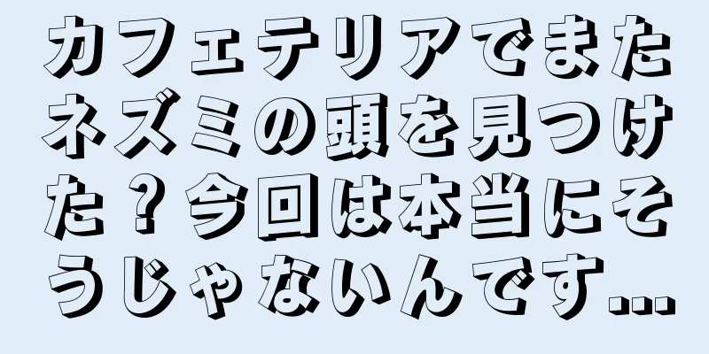 カフェテリアでまたネズミの頭を見つけた？今回は本当にそうじゃないんです...