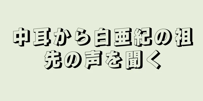 中耳から白亜紀の祖先の声を聞く