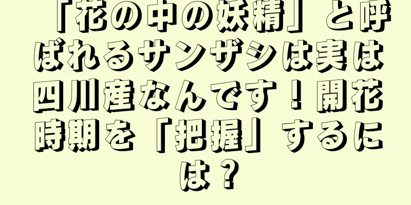 「花の中の妖精」と呼ばれるサンザシは実は四川産なんです！開花時期を「把握」するには？