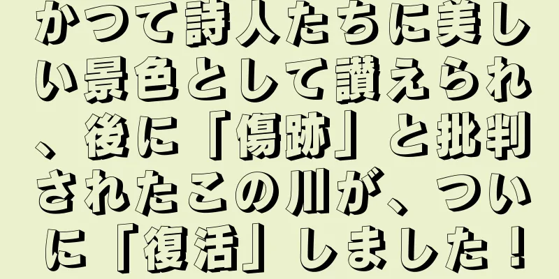 かつて詩人たちに美しい景色として讃えられ、後に「傷跡」と批判されたこの川が、ついに「復活」しました！