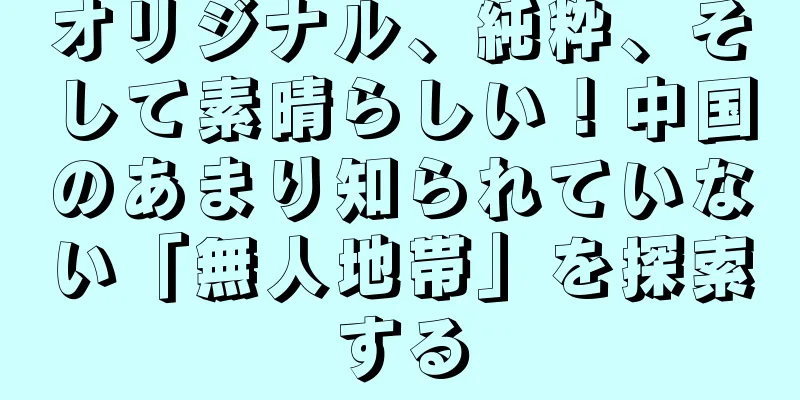 オリジナル、純粋、そして素晴らしい！中国のあまり知られていない「無人地帯」を探索する