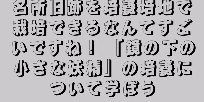 名所旧跡を培養培地で栽培できるなんてすごいですね！ 「鏡の下の小さな妖精」の培養について学ぼう