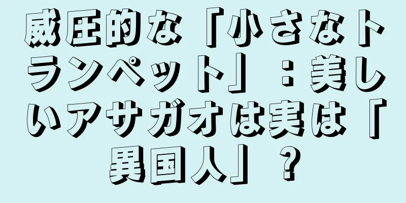 威圧的な「小さなトランペット」：美しいアサガオは実は「異国人」？