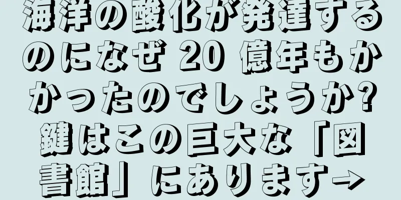 海洋の酸化が発達するのになぜ 20 億年もかかったのでしょうか?鍵はこの巨大な「図書館」にあります→