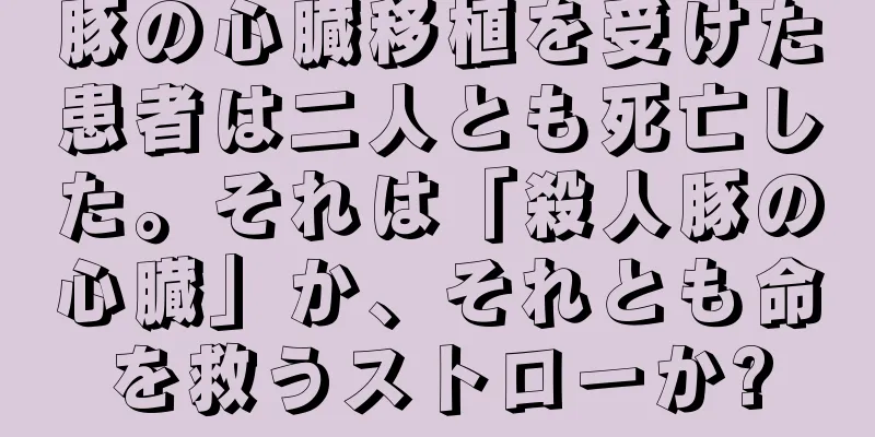 豚の心臓移植を受けた患者は二人とも死亡した。それは「殺人豚の心臓」か、それとも命を救うストローか?