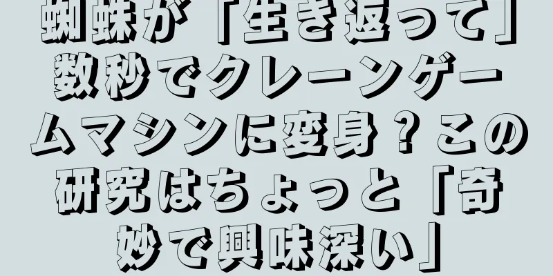 蜘蛛が「生き返って」数秒でクレーンゲームマシンに変身？この研究はちょっと「奇妙で興味深い」
