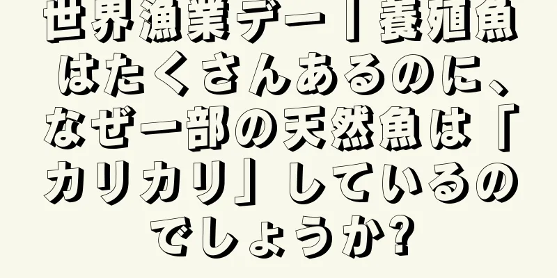 世界漁業デー丨養殖魚はたくさんあるのに、なぜ一部の天然魚は「カリカリ」しているのでしょうか?