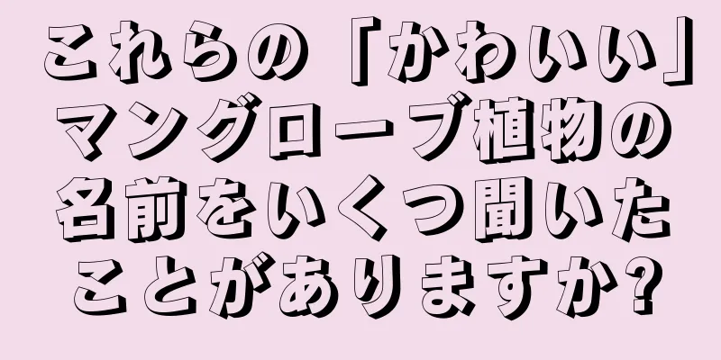 これらの「かわいい」マングローブ植物の名前をいくつ聞いたことがありますか?