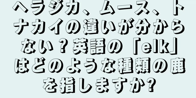 ヘラジカ、ムース、トナカイの違いが分からない？英語の「elk」はどのような種類の鹿を指しますか?