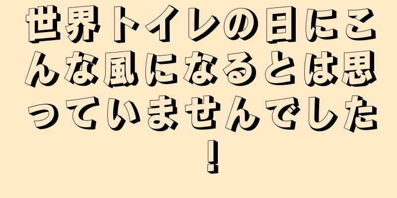 世界トイレの日にこんな風になるとは思っていませんでした！
