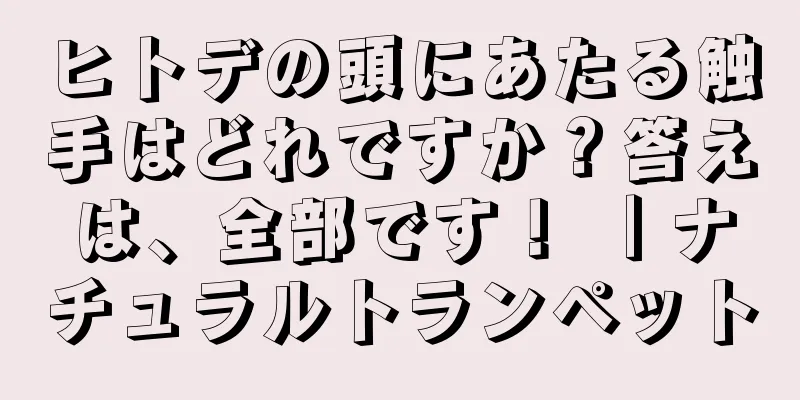 ヒトデの頭にあたる触手はどれですか？答えは、全部です！ ｜ナチュラルトランペット