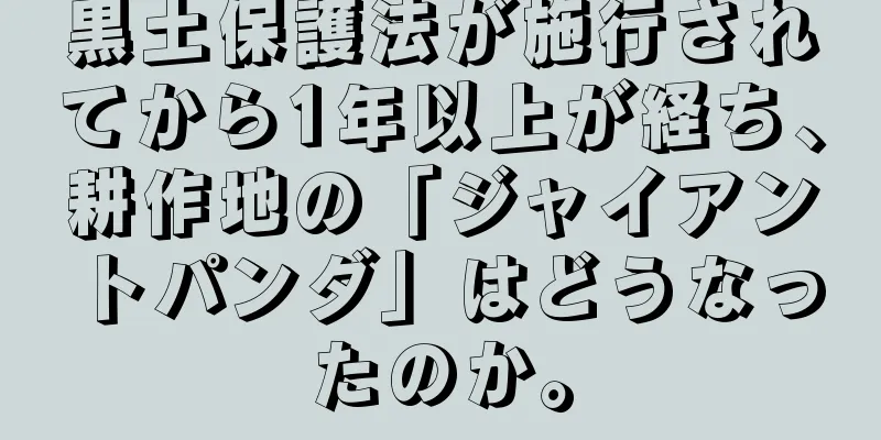 黒土保護法が施行されてから1年以上が経ち、耕作地の「ジャイアントパンダ」はどうなったのか。