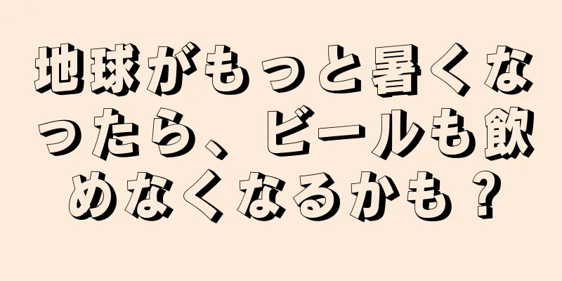 地球がもっと暑くなったら、ビールも飲めなくなるかも？