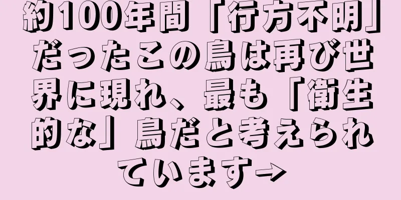 約100年間「行方不明」だったこの鳥は再び世界に現れ、最も「衛生的な」鳥だと考えられています→
