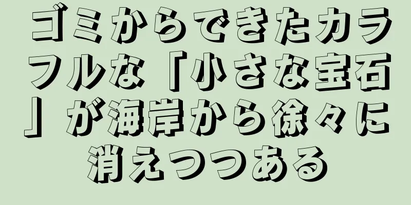 ゴミからできたカラフルな「小さな宝石」が海岸から徐々に消えつつある
