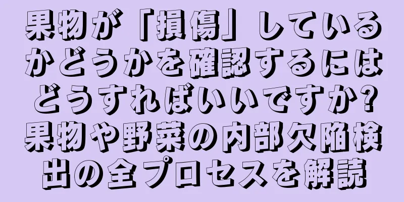 果物が「損傷」しているかどうかを確認するにはどうすればいいですか?果物や野菜の内部欠陥検出の全プロセスを解読