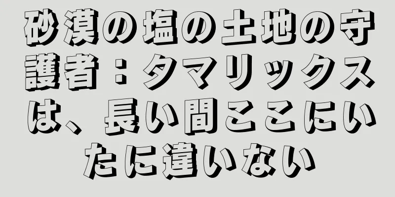 砂漠の塩の土地の守護者：タマリックスは、長い間ここにいたに違いない