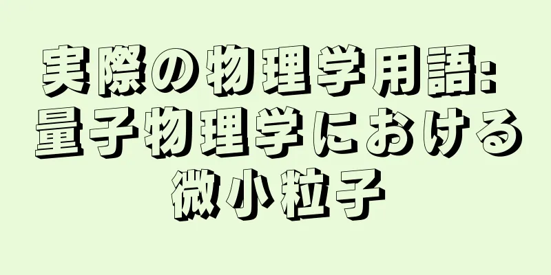 実際の物理学用語: 量子物理学における微小粒子