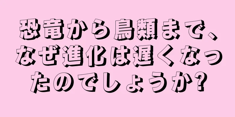 恐竜から鳥類まで、なぜ進化は遅くなったのでしょうか?