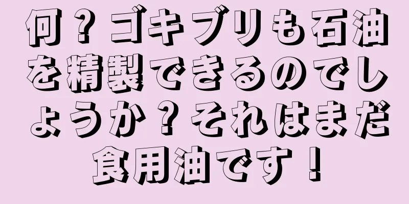 何？ゴキブリも石油を精製できるのでしょうか？それはまだ食用油です！