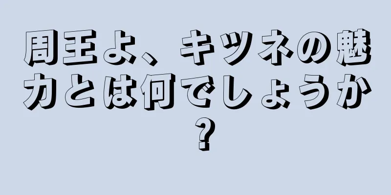 周王よ、キツネの魅力とは何でしょうか？