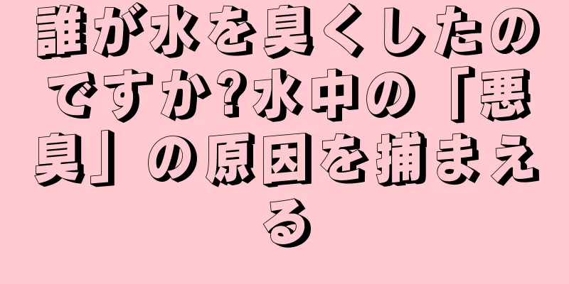 誰が水を臭くしたのですか?水中の「悪臭」の原因を捕まえる