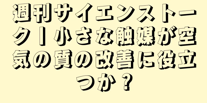 週刊サイエンストーク丨小さな触媒が空気の質の改善に役立つか？