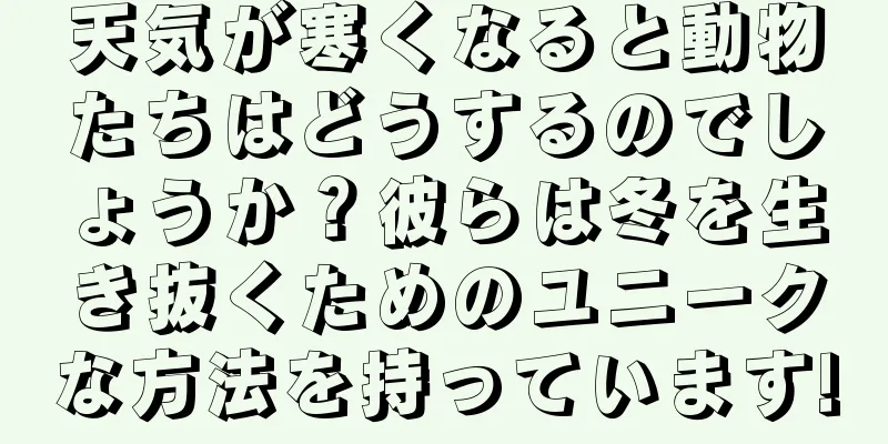 天気が寒くなると動物たちはどうするのでしょうか？彼らは冬を生き抜くためのユニークな方法を持っています!
