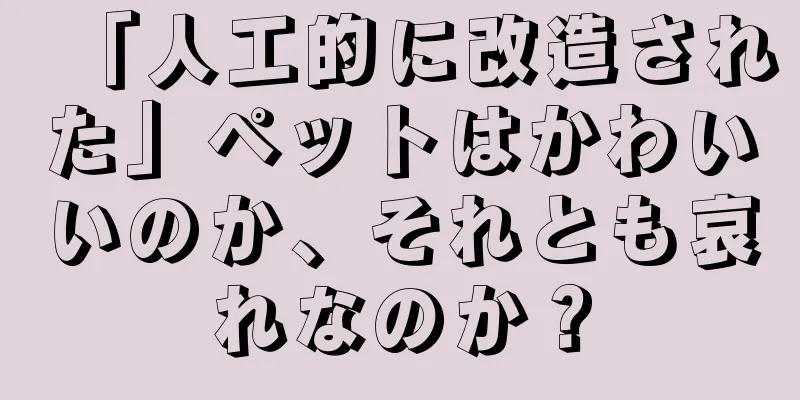 「人工的に改造された」ペットはかわいいのか、それとも哀れなのか？