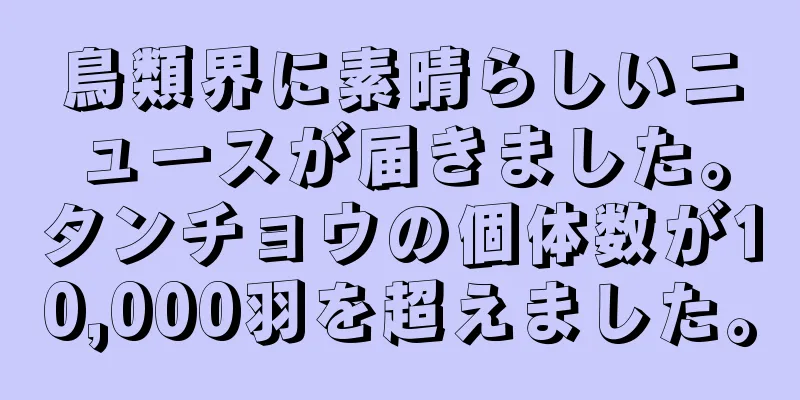 鳥類界に素晴らしいニュースが届きました。タンチョウの個体数が10,000羽を超えました。