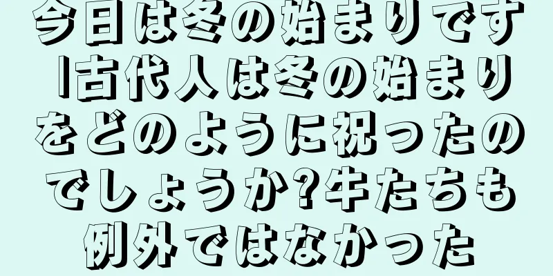 今日は冬の始まりです |古代人は冬の始まりをどのように祝ったのでしょうか?牛たちも例外ではなかった
