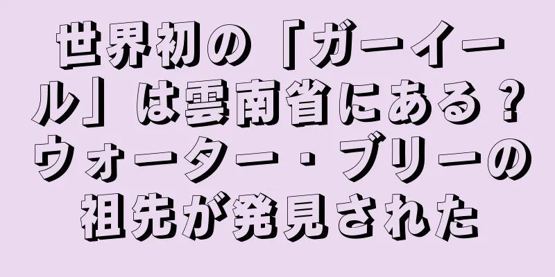 世界初の「ガーイール」は雲南省にある？ウォーター・ブリーの祖先が発見された