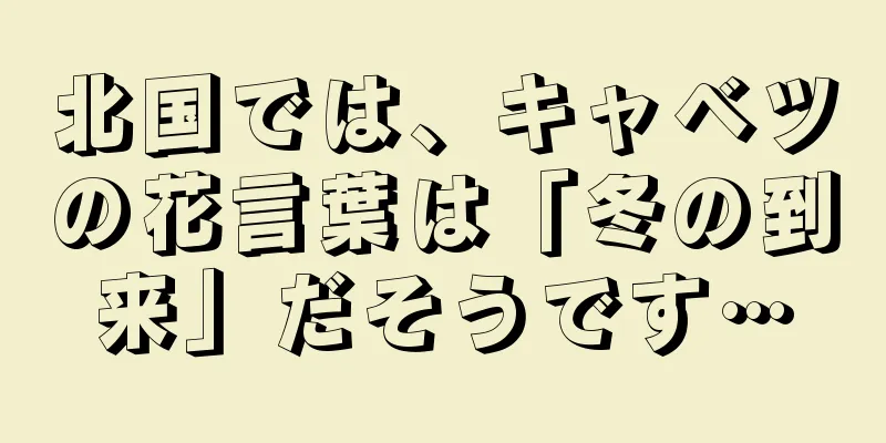 北国では、キャベツの花言葉は「冬の到来」だそうです…
