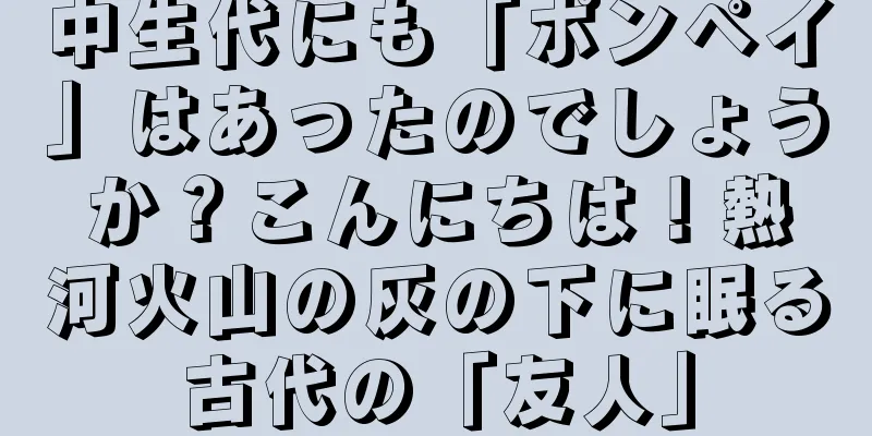 中生代にも「ポンペイ」はあったのでしょうか？こんにちは！熱河火山の灰の下に眠る古代の「友人」