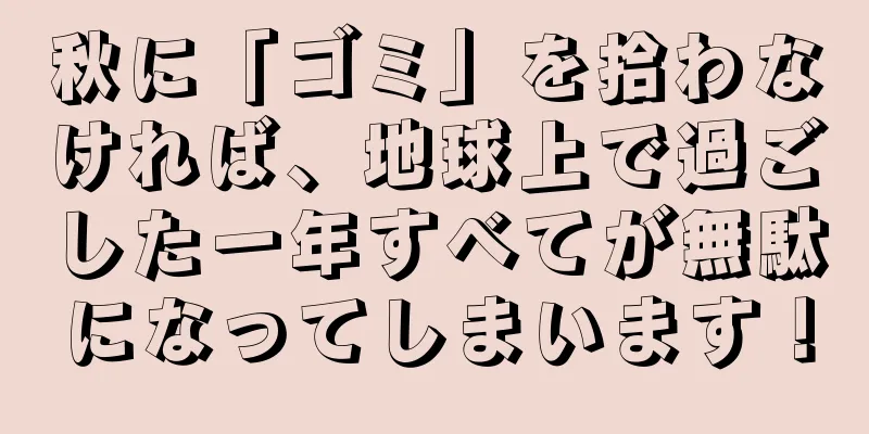 秋に「ゴミ」を拾わなければ、地球上で過ごした一年すべてが無駄になってしまいます！