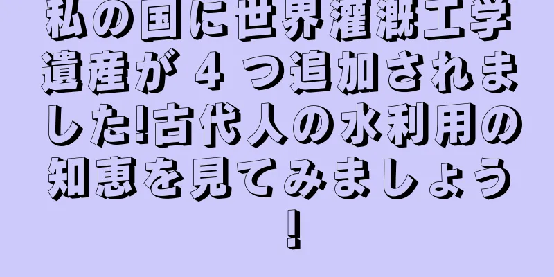 私の国に世界灌漑工学遺産が 4 つ追加されました!古代人の水利用の知恵を見てみましょう！