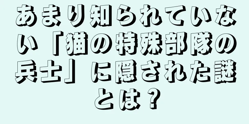あまり知られていない「猫の特殊部隊の兵士」に隠された謎とは？