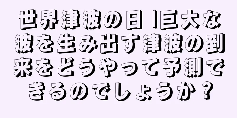 世界津波の日 |巨大な波を生み出す津波の到来をどうやって予測できるのでしょうか？
