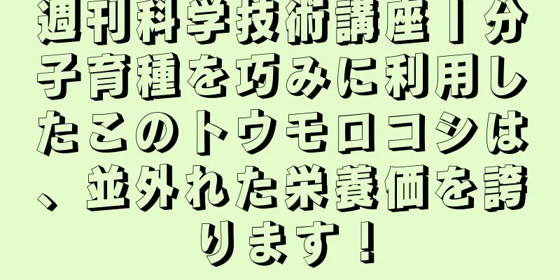 週刊科学技術講座丨分子育種を巧みに利用したこのトウモロコシは、並外れた栄養価を誇ります！