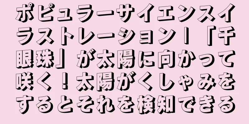 ポピュラーサイエンスイラストレーション | 「千眼珠」が太陽に向かって咲く！太陽がくしゃみをするとそれを検知できる