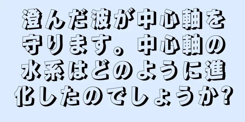 澄んだ波が中心軸を守ります。中心軸の水系はどのように進化したのでしょうか?