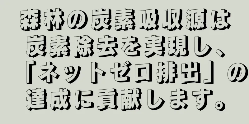 森林の炭素吸収源は炭素除去を実現し、「ネットゼロ排出」の達成に貢献します。