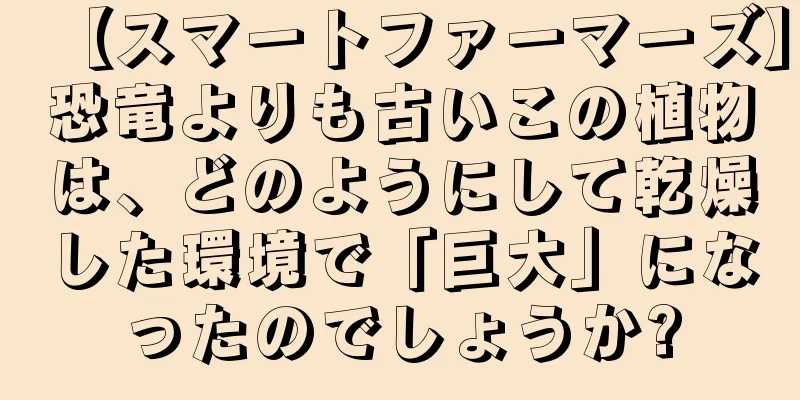 【スマートファーマーズ】恐竜よりも古いこの植物は、どのようにして乾燥した環境で「巨大」になったのでしょうか?