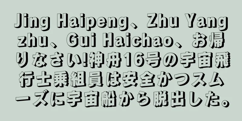 Jing Haipeng、Zhu Yangzhu、Gui Haichao、お帰りなさい!神舟16号の宇宙飛行士乗組員は安全かつスムーズに宇宙船から脱出した。