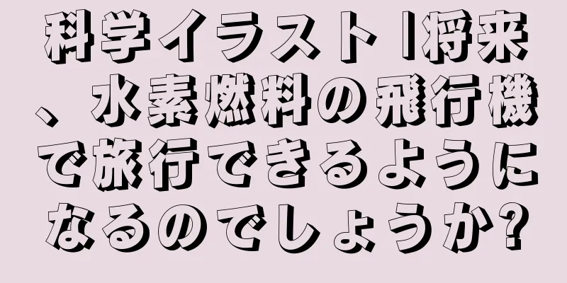 科学イラスト |将来、水素燃料の飛行機で旅行できるようになるのでしょうか?